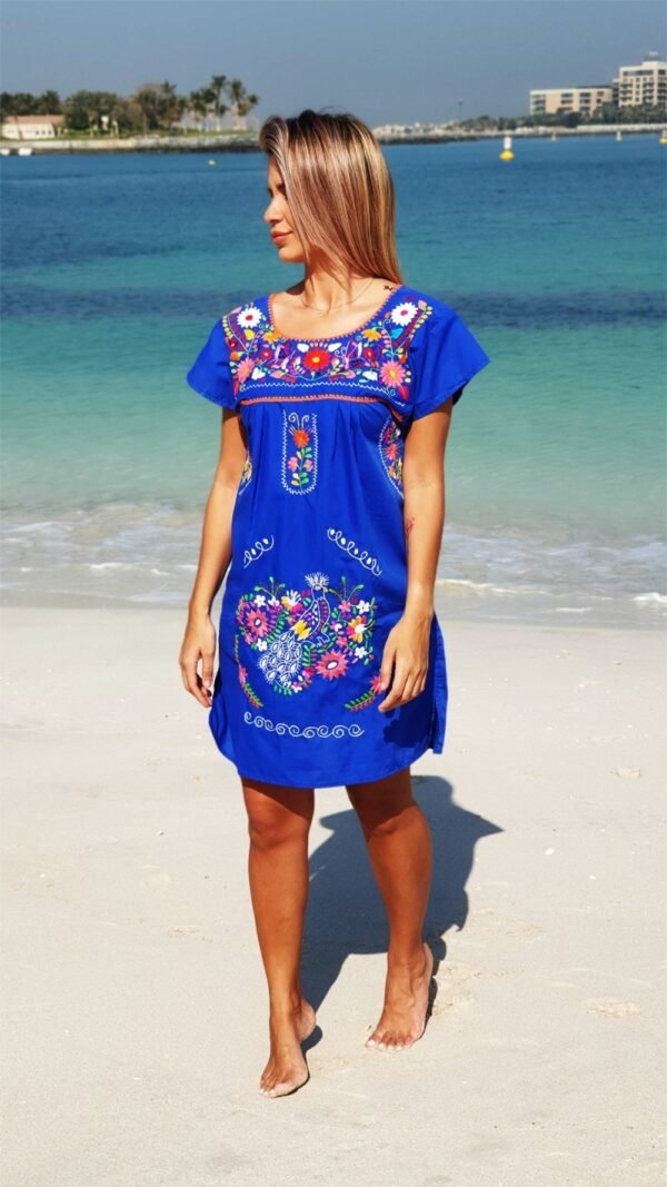 Donaji Blue Short Dress