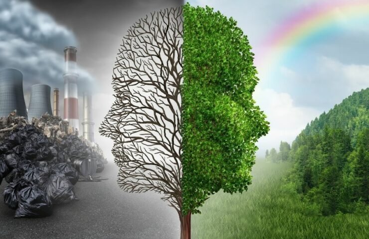 What is World Environment Day?