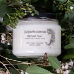 Bengal Tiger Soy Candle & Hand Cream